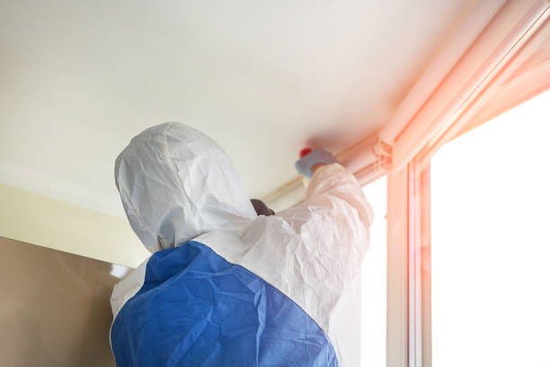 Biohazard Mold Removal in Sherwood, WI