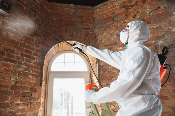 Best Forensic Mold Investigation  in Sherwood, WI